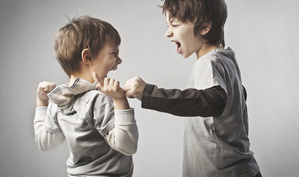 Sibling Rivalry and Conflicts